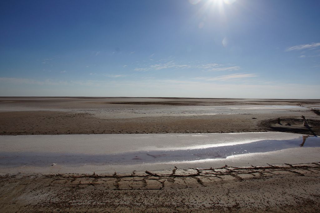 Le Lac salé-Chott El Jerid