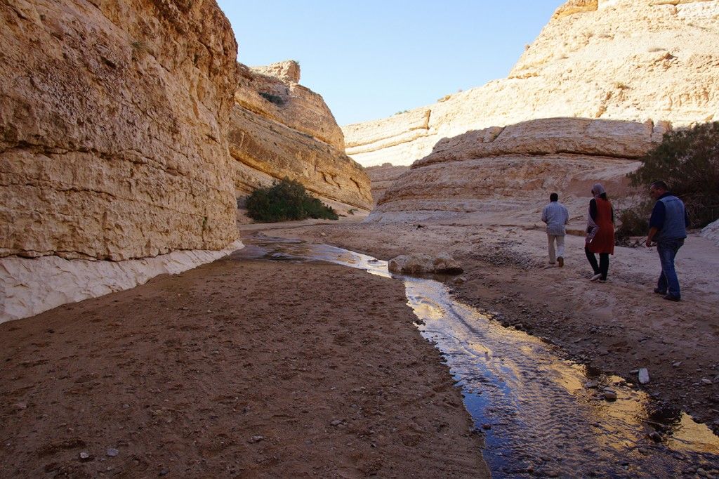 Les Oasis de Montagnes