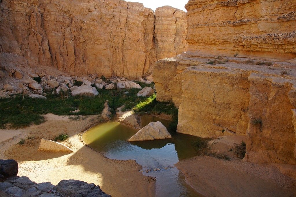 Les Oasis de Montagnes